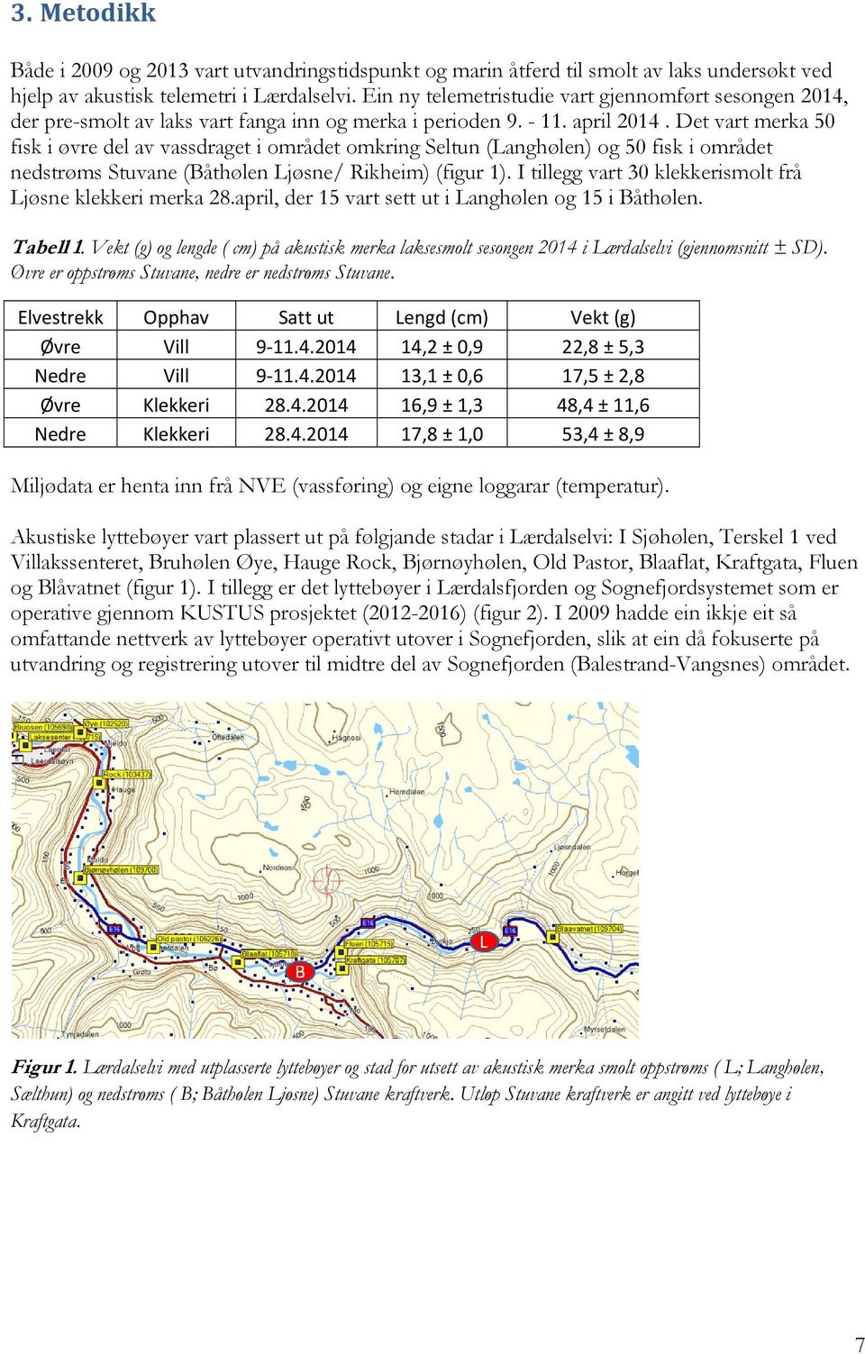 Det vart merka 50 fisk i øvre del av vassdraget i området omkring Seltun (Langhølen) og 50 fisk i området nedstrøms Stuvane (Båthølen Ljøsne/ Rikheim) (figur 1).