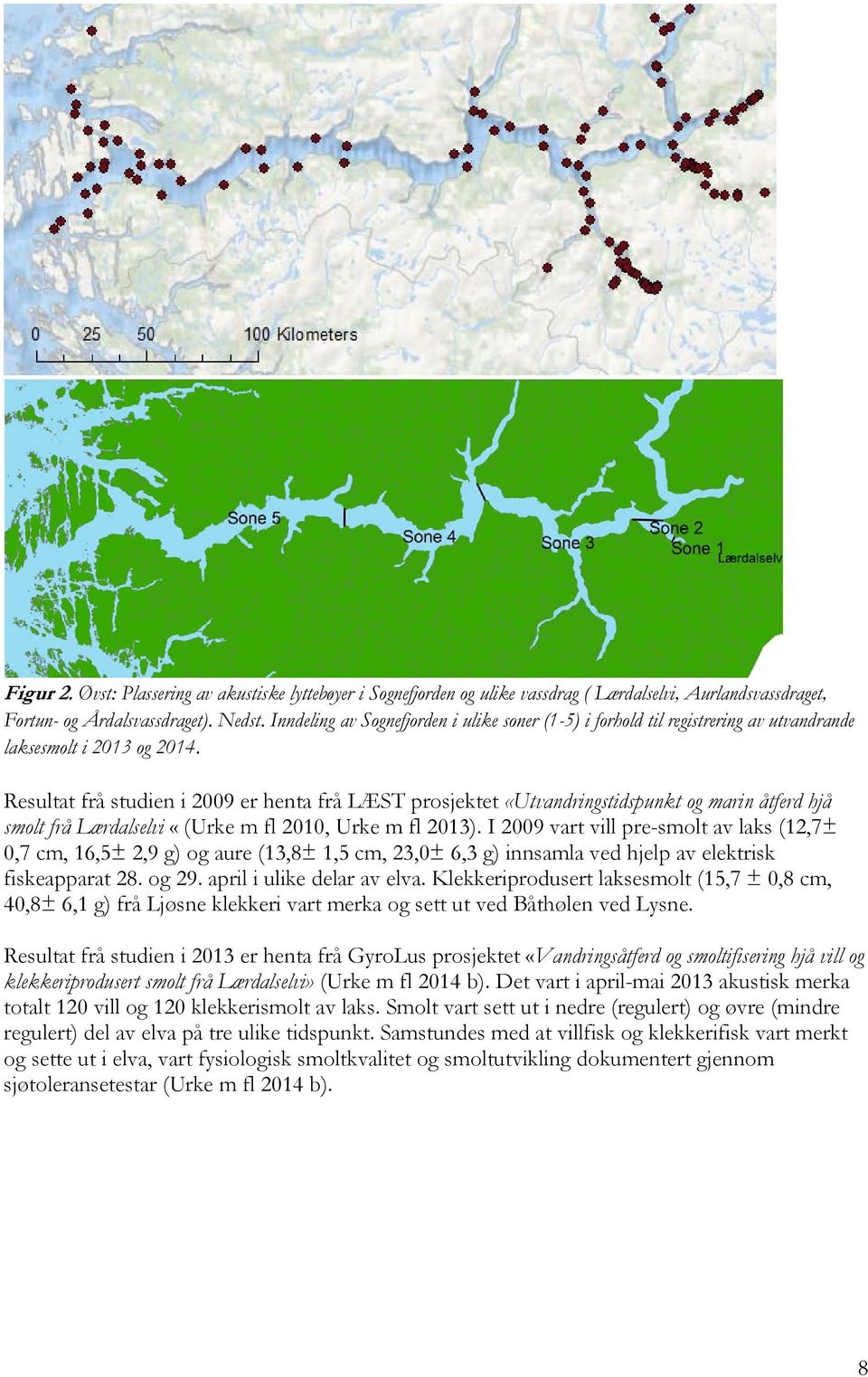 Resultat frå studien i 2009 er henta frå LÆST prosjektet «Utvandringstidspunkt og marin åtferd hjå smolt frå Lærdalselvi «(Urke m fl 2010, Urke m fl 2013).