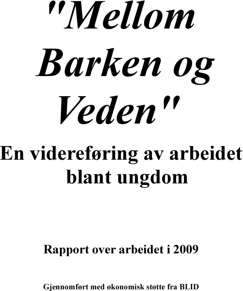 ungdom Rapport over arbeidet i