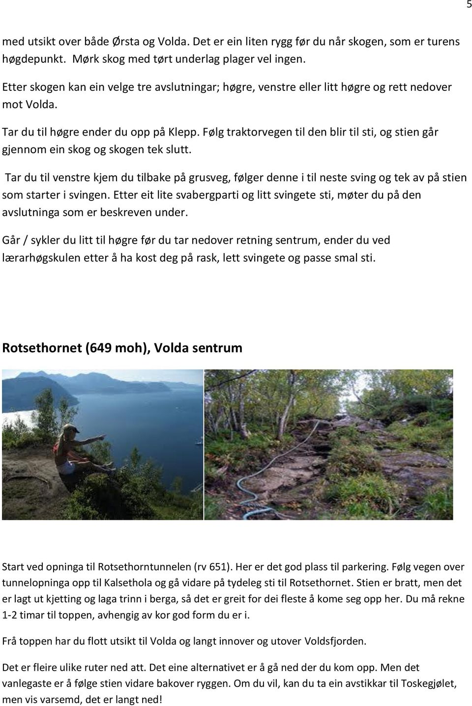 Følg traktorvegen til den blir til sti, og stien går gjennom ein skog og skogen tek slutt.