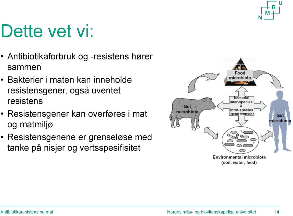 mat og matmiljø Resistensgenene er grenseløse med tanke på nisjer og