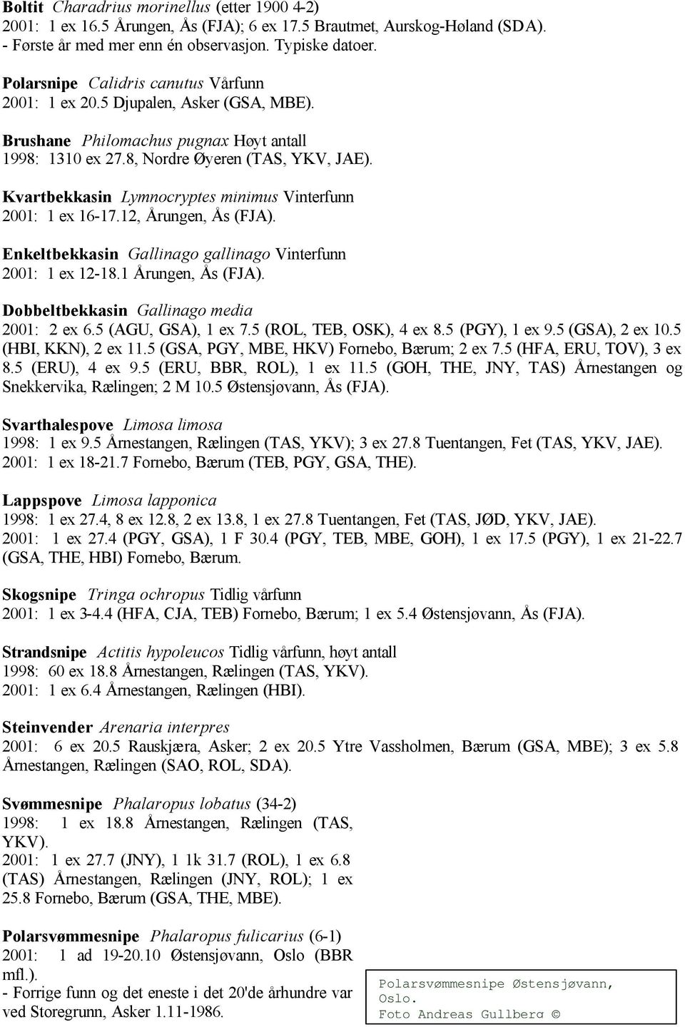 Kvartbekkasin Lymnocryptes minimus Vinterfunn 2001: 1 ex 16-17.12, Årungen, Ås (FJA). Enkeltbekkasin Gallinago gallinago Vinterfunn 2001: 1 ex 12-18.1 Årungen, Ås (FJA).