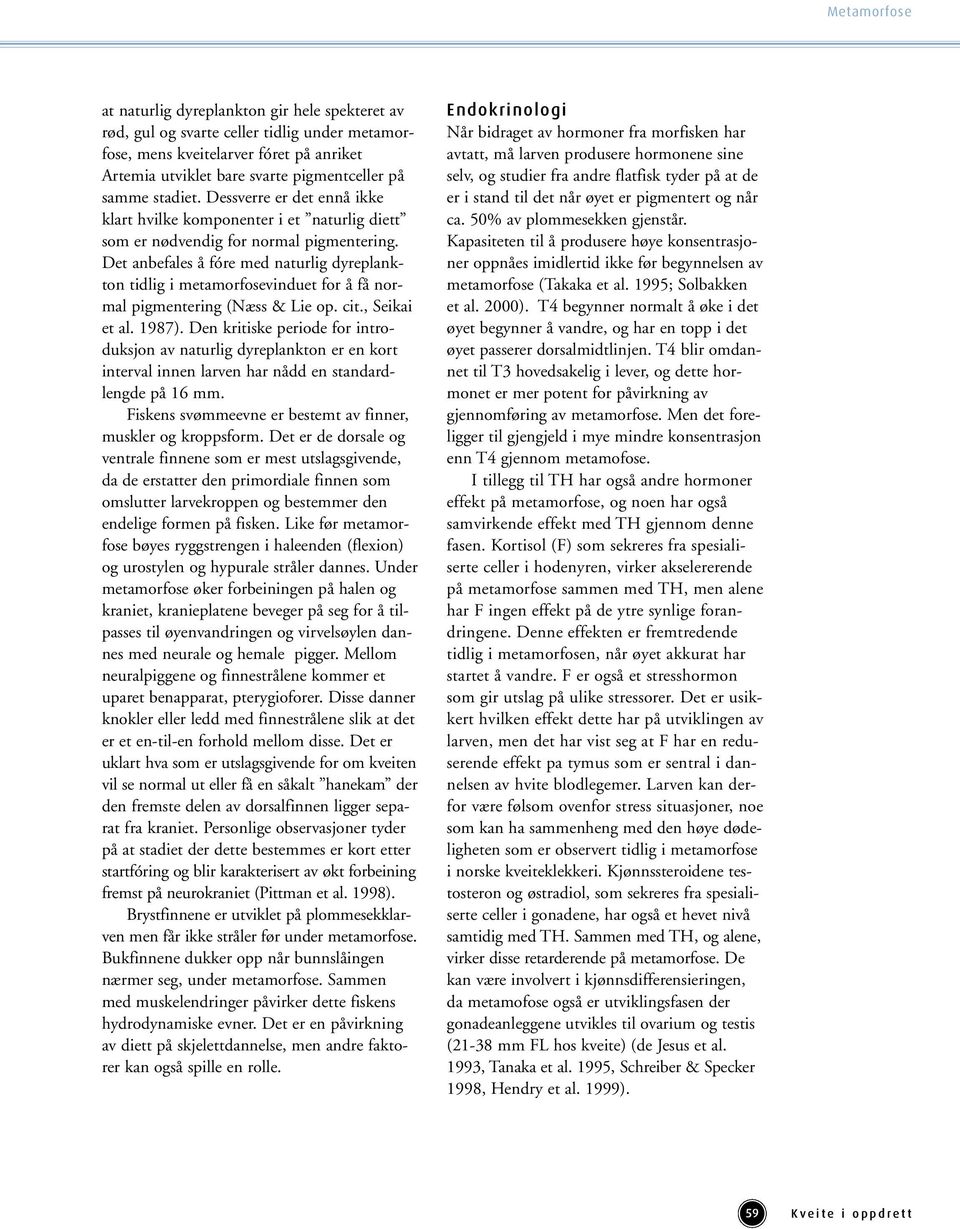 Det anbefales å fóre med naturlig dyreplankton tidlig i metamorfosevinduet for å få normal pigmentering (Næss & Lie op. cit., Seikai et al. 1987).