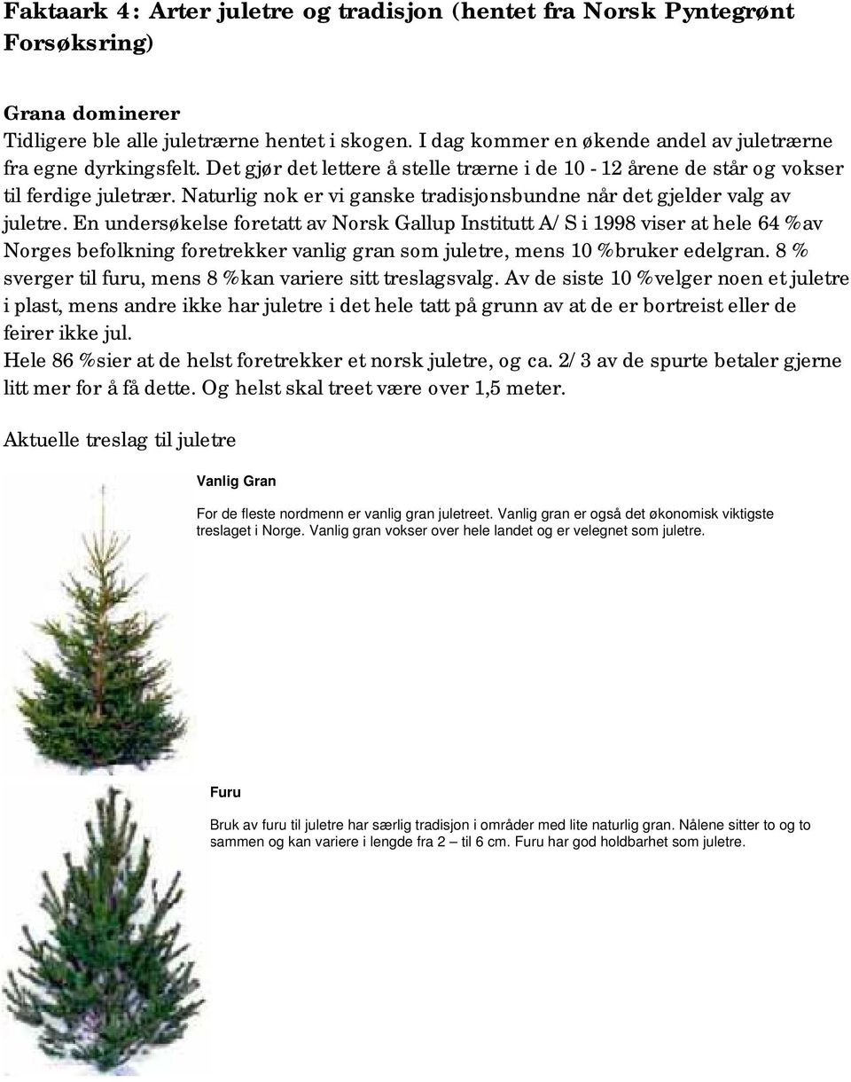 Naturlig nok er vi ganske tradisjonsbundne når det gjelder valg av juletre.