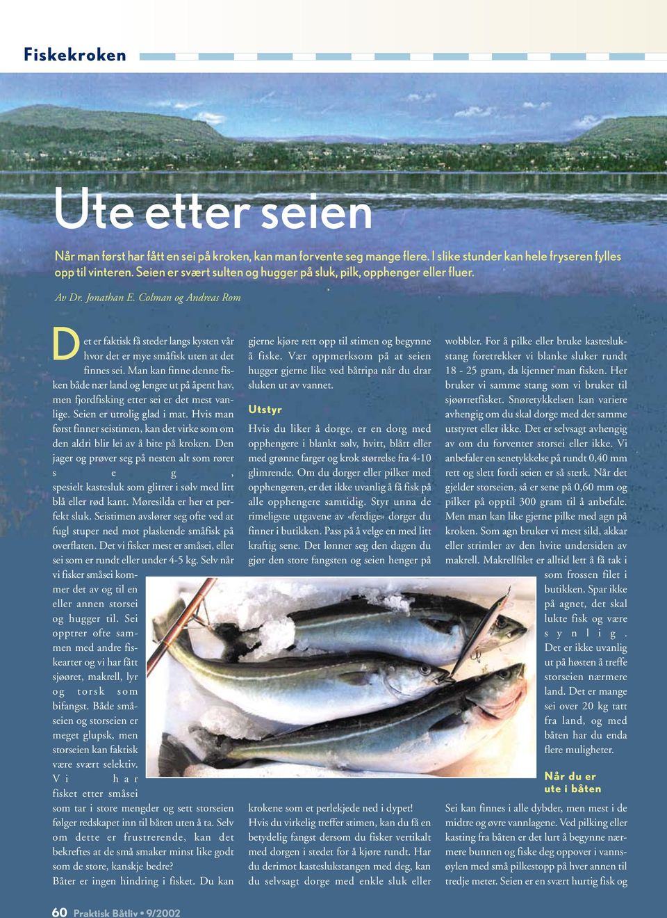 Man kan finne denne fisken både nær land og lengre ut på åpent hav, men fjordfisking etter sei er det mest vanlige. Seien er utrolig glad i mat.