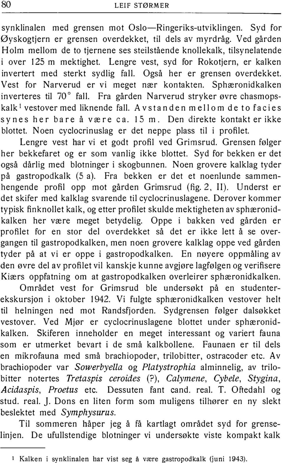 Også her er grensen overdekket. Vest for Narverud er vi meget nær kontakten. Sphæronidkalken inverteres til 70 o fall. Fra gården N arverud stryker øvre chasmopskalk1 vestover med liknende fall.