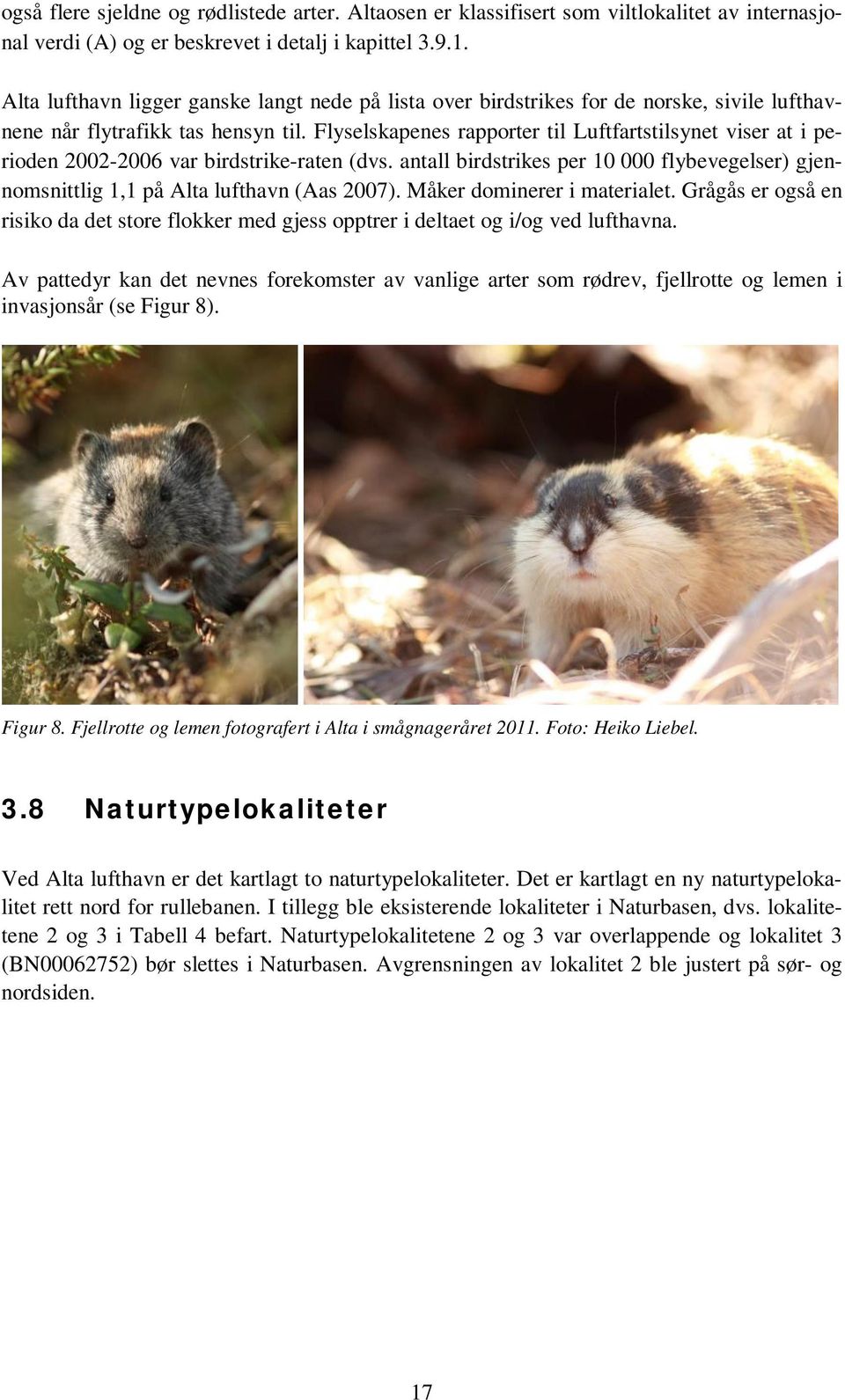 Flyselskapenes rapporter til Luftfartstilsynet viser at i perioden 2002-2006 var birdstrike-raten (dvs. antall birdstrikes per 10 000 flybevegelser) gjennomsnittlig 1,1 på Alta lufthavn (Aas 2007).