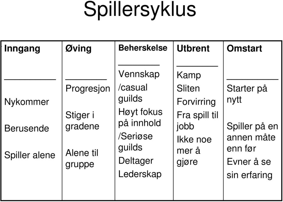 Høyt fokus på innhold /Seriøse guilds Deltager Lederskap Sliten Forvirring Fra spill