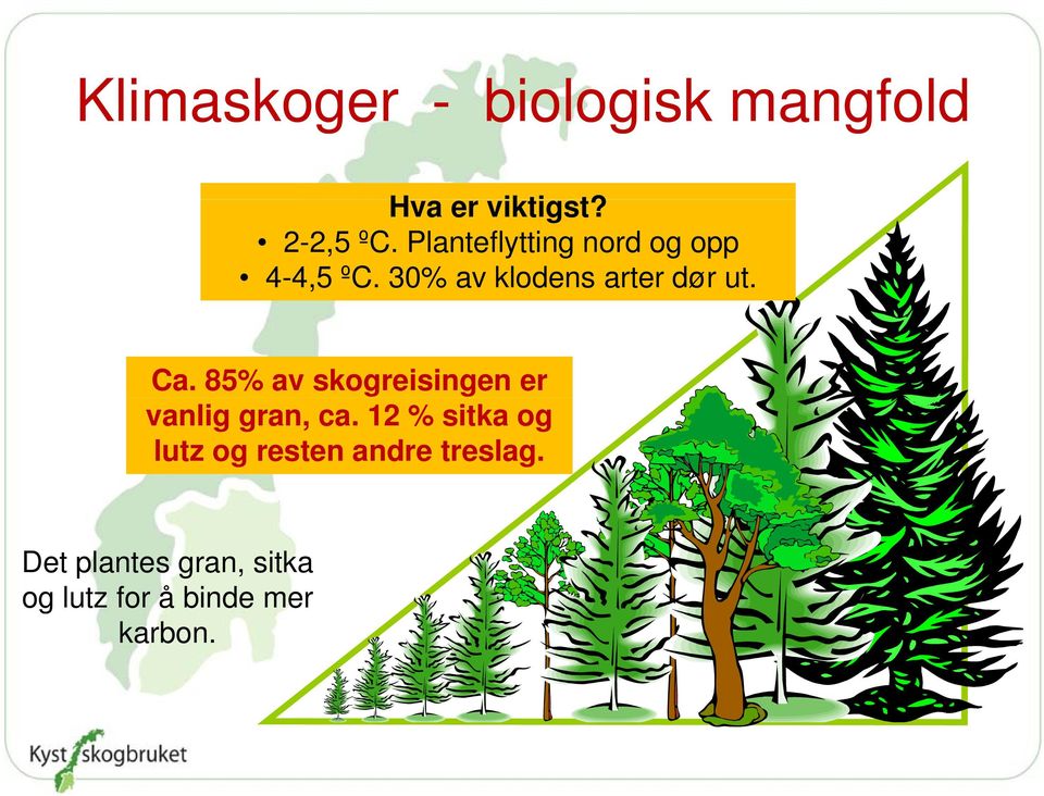 85% av skogreisingen er vanlig gran, ca.