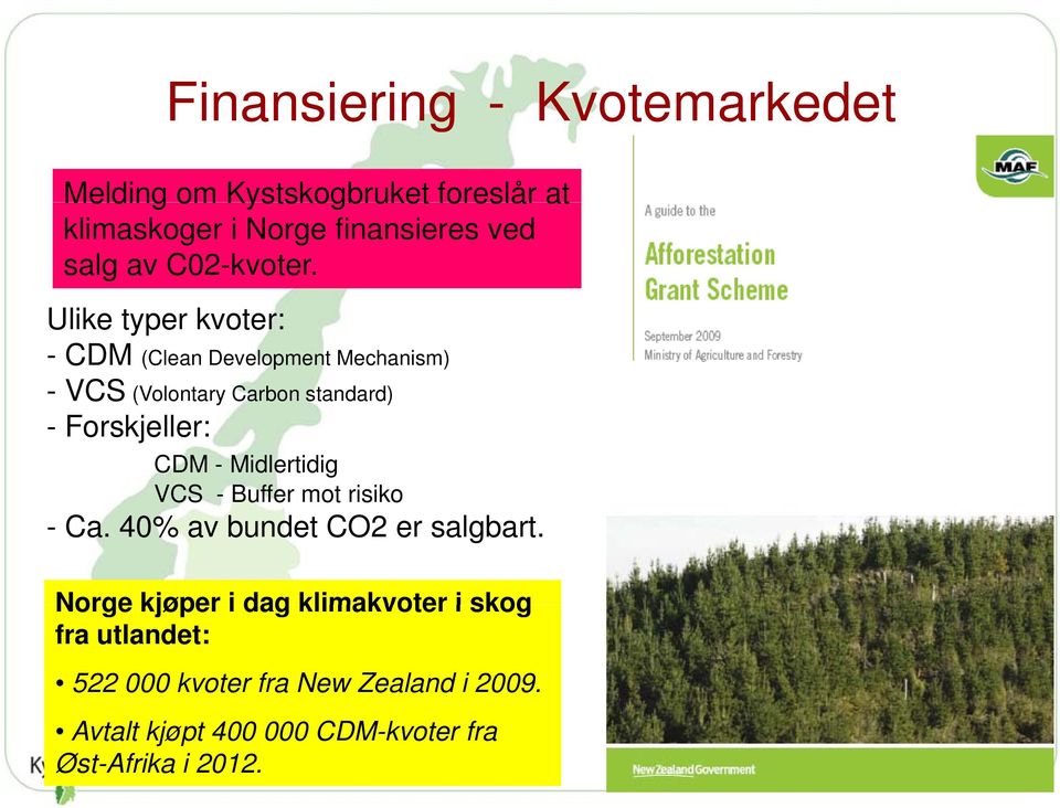 Ulike typer kvoter: - CDM (Clean Development Mechanism) -VCS(Volontary Carbon standard) - Forskjeller: CDM -