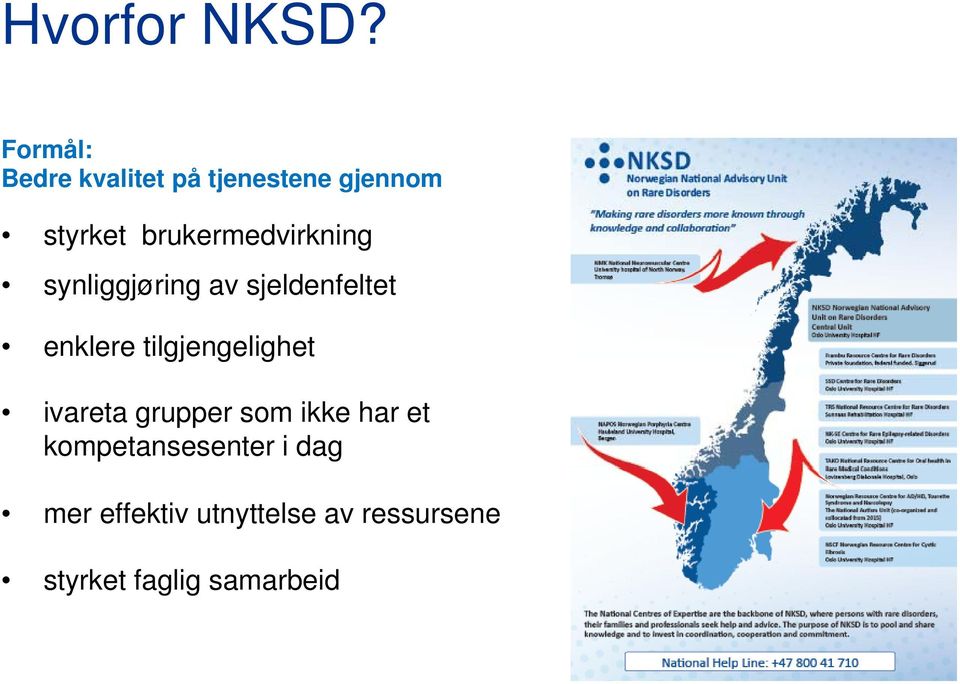 brukermedvirkning synliggjøring av sjeldenfeltet enklere