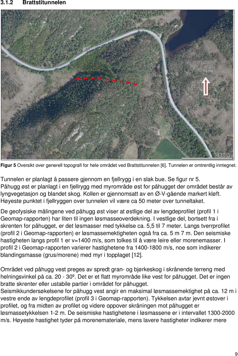 Påhugg øst er planlagt i en fjellrygg med myrområde øst for påhugget der området består av lyngvegetasjon og blandet skog. Kollen er gjennomsatt av en Ø-V-gående markert kløft.