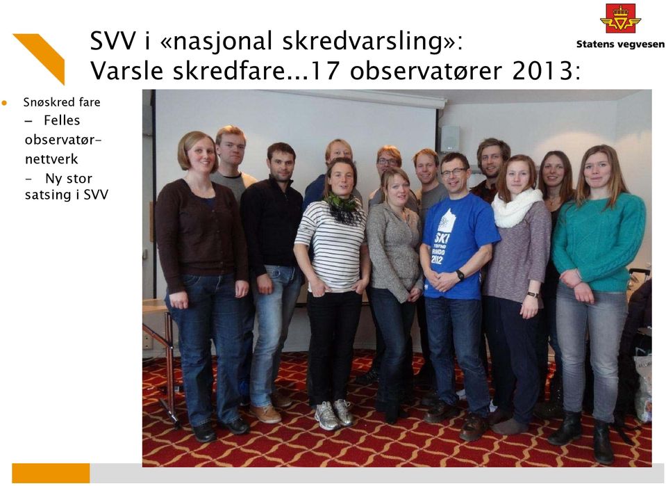 ..17 observatører 2013: Snøskred