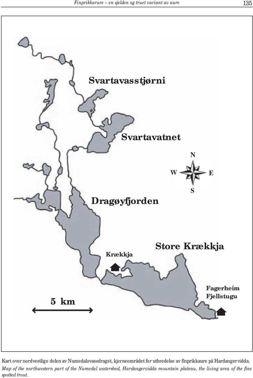 Numedalsvassdraget, kjerneområdet for utbredelse av finprikkaure på Hardangervidda.