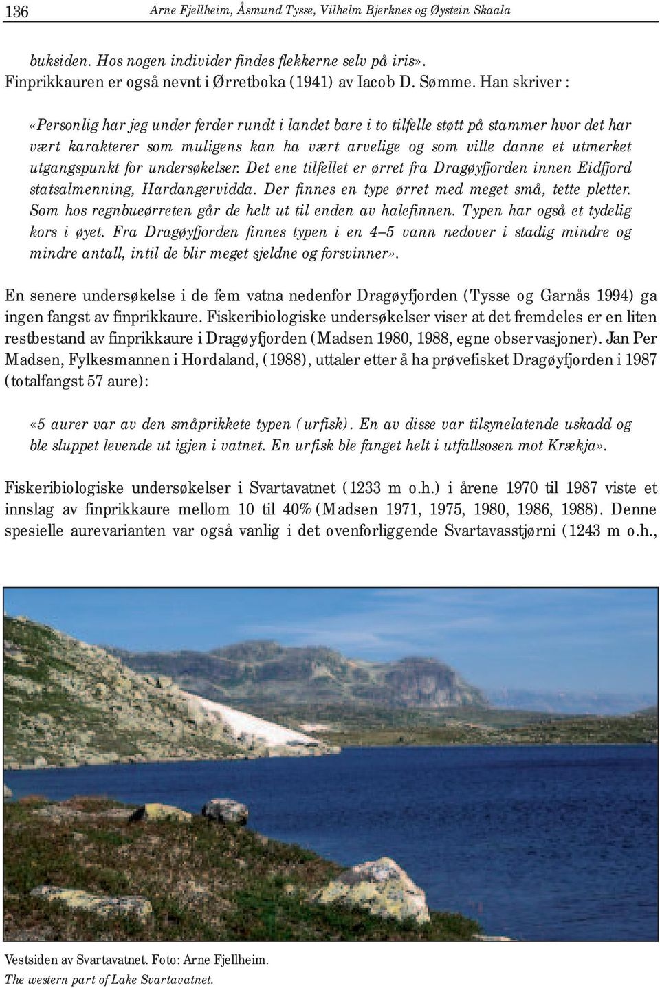 utgangspunkt for undersøkelser. Det ene tilfellet er ørret fra Dragøyfjorden innen Eidfjord statsalmenning, Hardangervidda. Der finnes en type ørret med meget små, tette pletter.