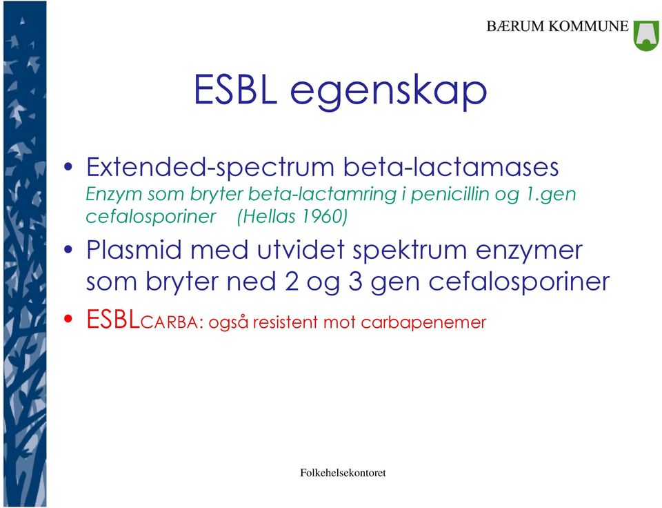 gen cefalosporiner (Hellas 1960) Plasmid med utvidet spektrum