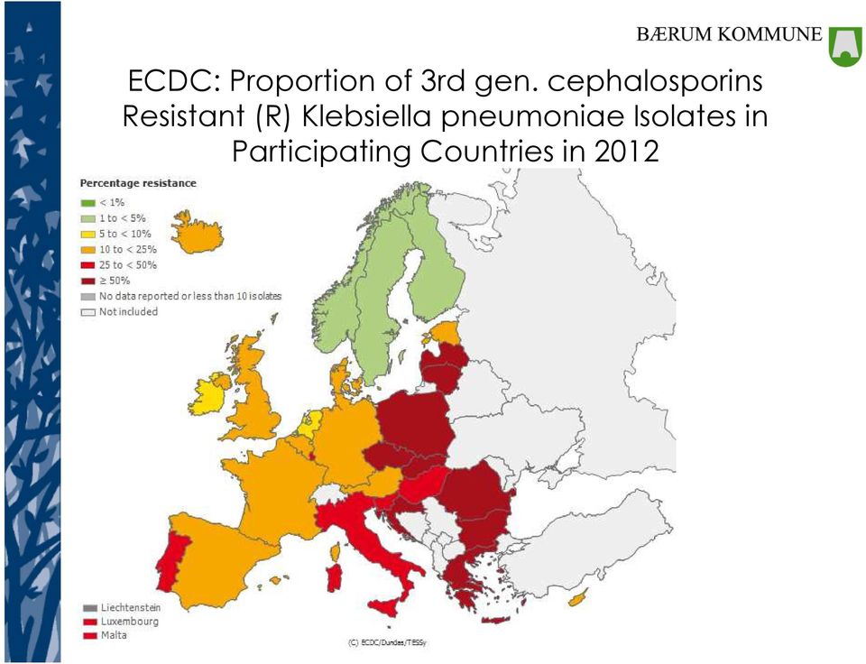 Klebsiella pneumoniae Isolates