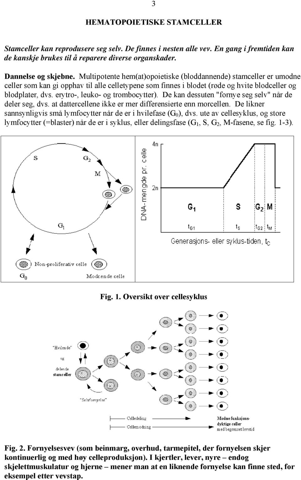 erytro-, leuko- og trombocytter). De kan dessuten "fornye seg selv" når de deler seg, dvs. at dattercellene ikke er mer differensierte enn morcellen.