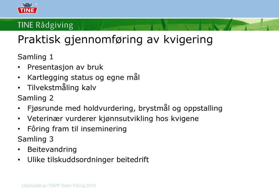 oppstalling Veterinær vurderer kjønnsutvikling hos kvigene Fôring fram til inseminering