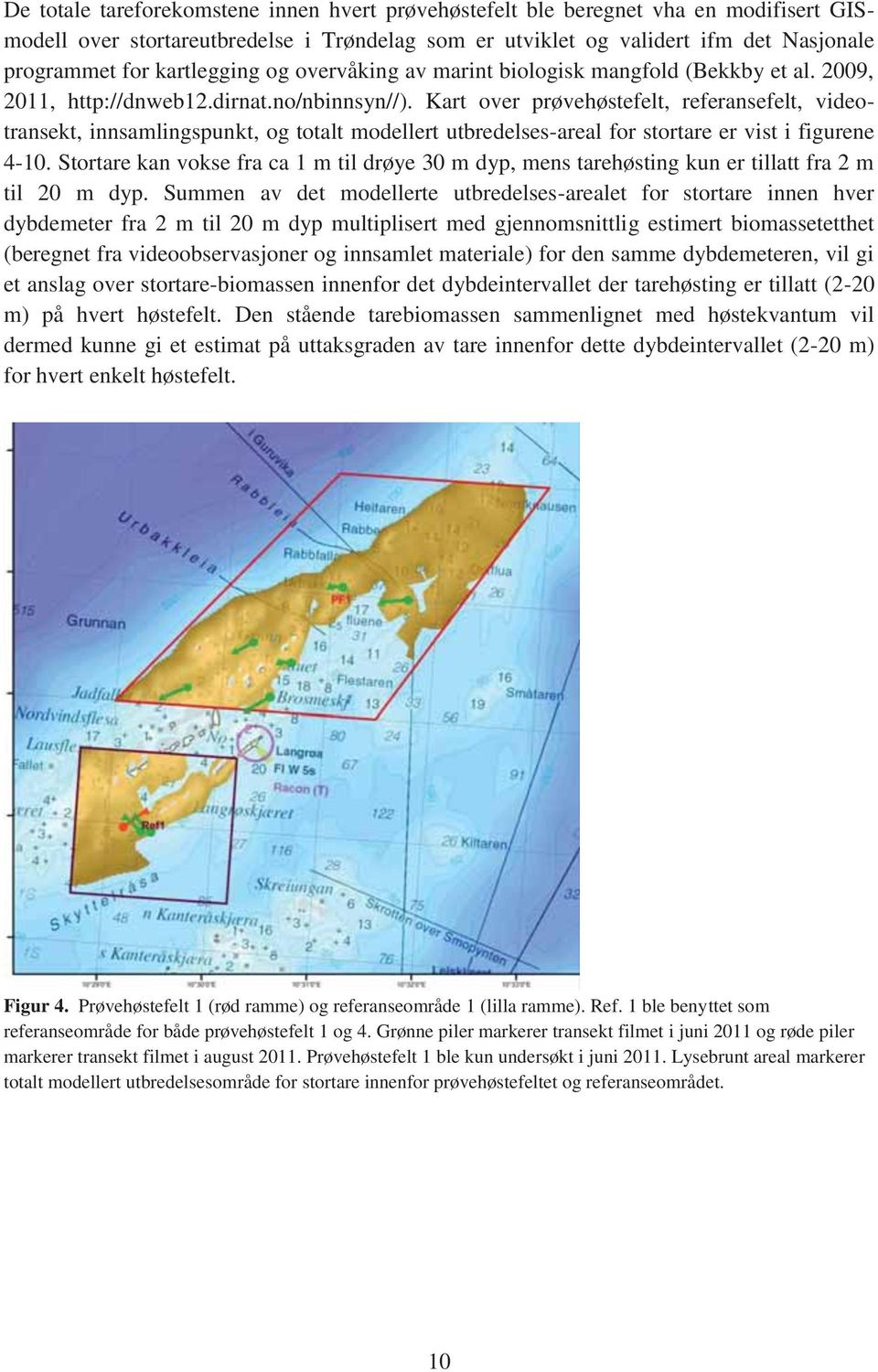 Kart over prøvehøstefelt, referansefelt, videotransekt, innsamlingspunkt, og totalt modellert utbredelses-areal for stortare er vist i figurene 4-10.