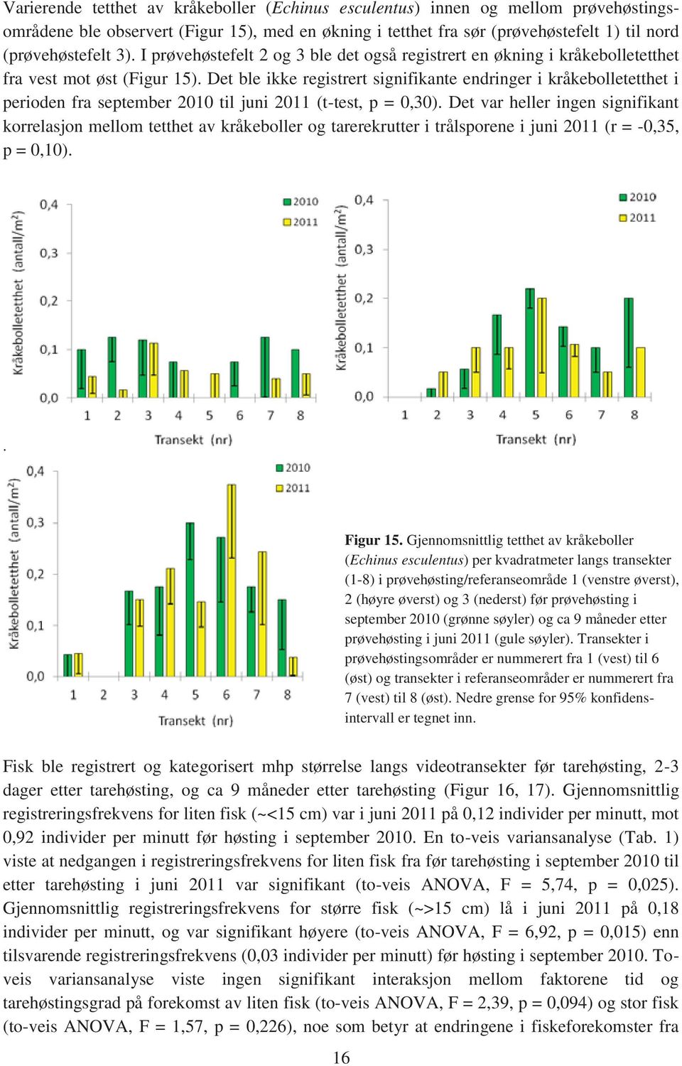 Det ble ikke registrert signifikante endringer i kråkebolletetthet i perioden fra september 2010 til juni 2011 (t-test, p = 0,30).