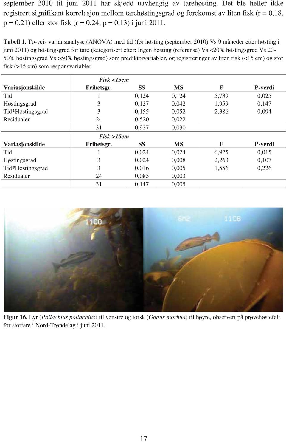 To-veis variansanalyse (ANOVA) med tid (før høsting (september 2010) Vs 9 måneder etter høsting i juni 2011) og høstingsgrad for tare (kategorisert etter: Ingen høsting (referanse) Vs <20%