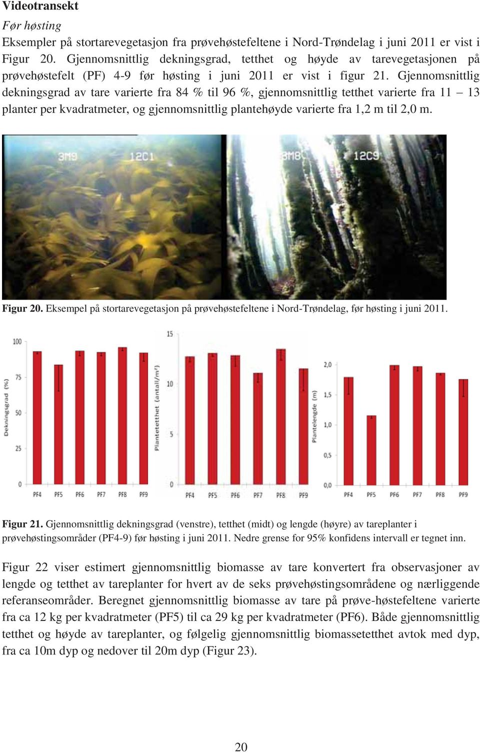 Gjennomsnittlig dekningsgrad av tare varierte fra 84 % til 96 %, gjennomsnittlig tetthet varierte fra 11 13 planter per kvadratmeter, og gjennomsnittlig plantehøyde varierte fra 1,2 m til 2,0 m.