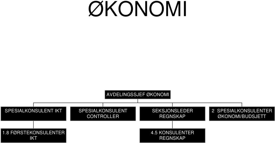 REGNSKAP 2 SPESIALKONSULENTER ØKONOMI/BUDSJETT