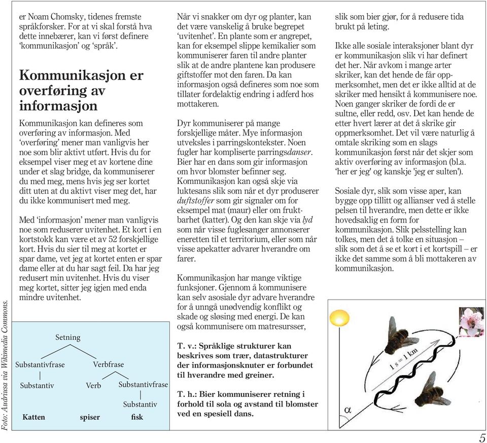 Hvis du for eksempel viser meg et av kortene dine under et slag bridge, da kommuniserer du med meg, mens hvis jeg ser kortet ditt uten at du aktivt viser meg det, har du ikke kommunisert med meg.