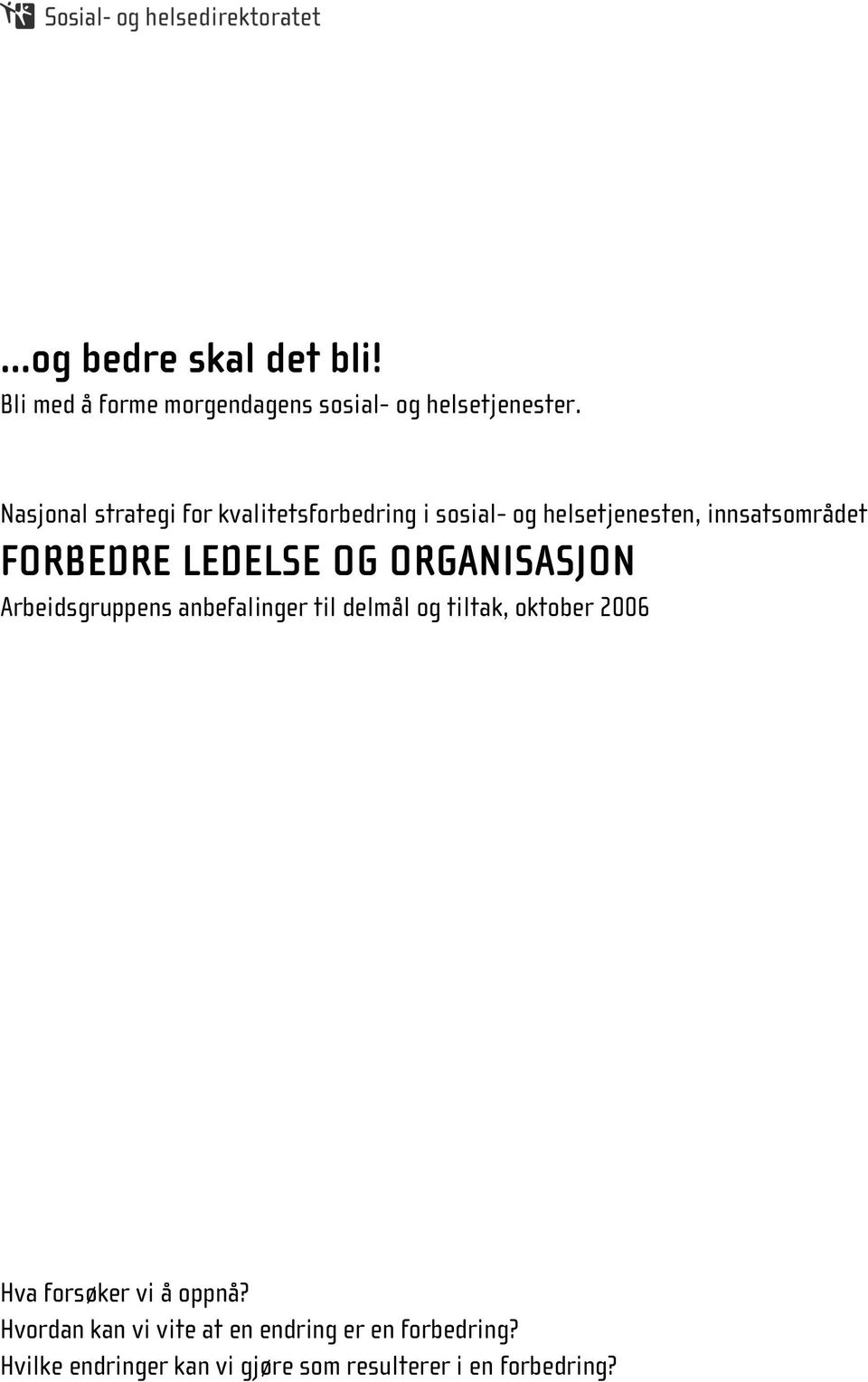 LEDELSE OG ORGANISASJON Arbeidsgruppens anbefalinger til delmål og tiltak, oktober 2006 Hva forsøker