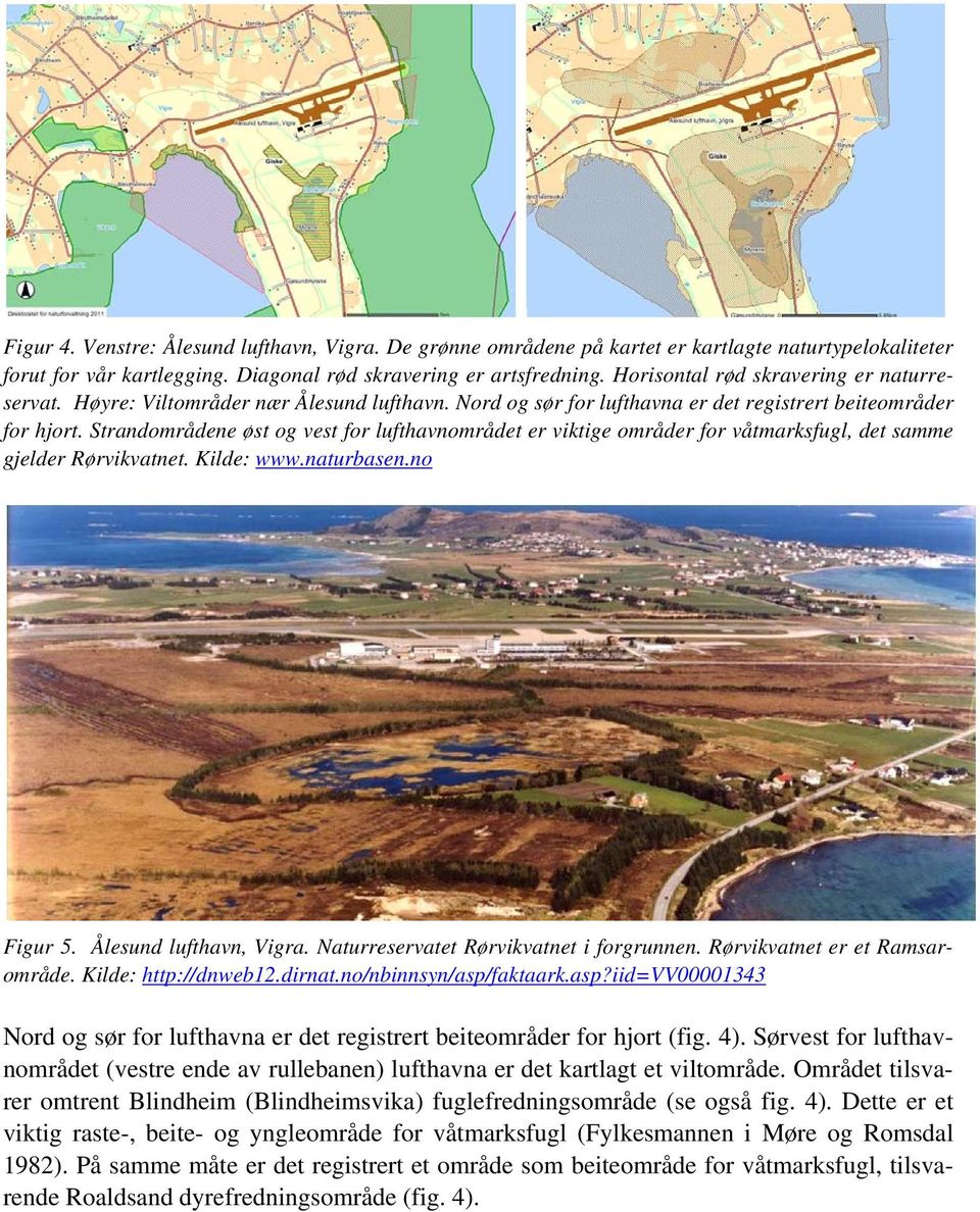 Strandområdene øst og vest for lufthavnområdet er viktige områder for våtmarksfugl, det samme gjelder Rørvikvatnet. Kilde: www.naturbasen.no Figur 5. Ålesund lufthavn, Vigra.