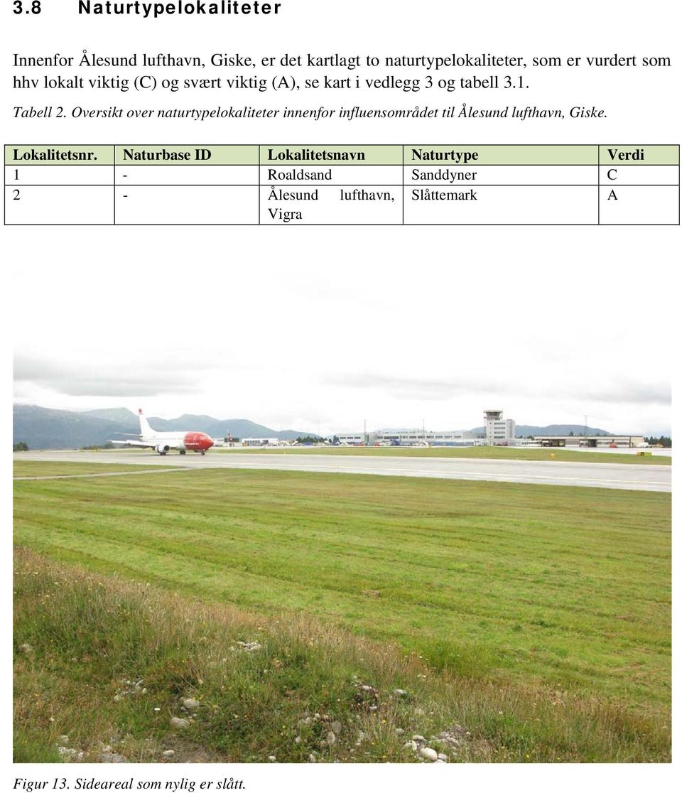 Oversikt over naturtypelokaliteter innenfor influensområdet til Ålesund lufthavn, Giske. Lokalitetsnr.