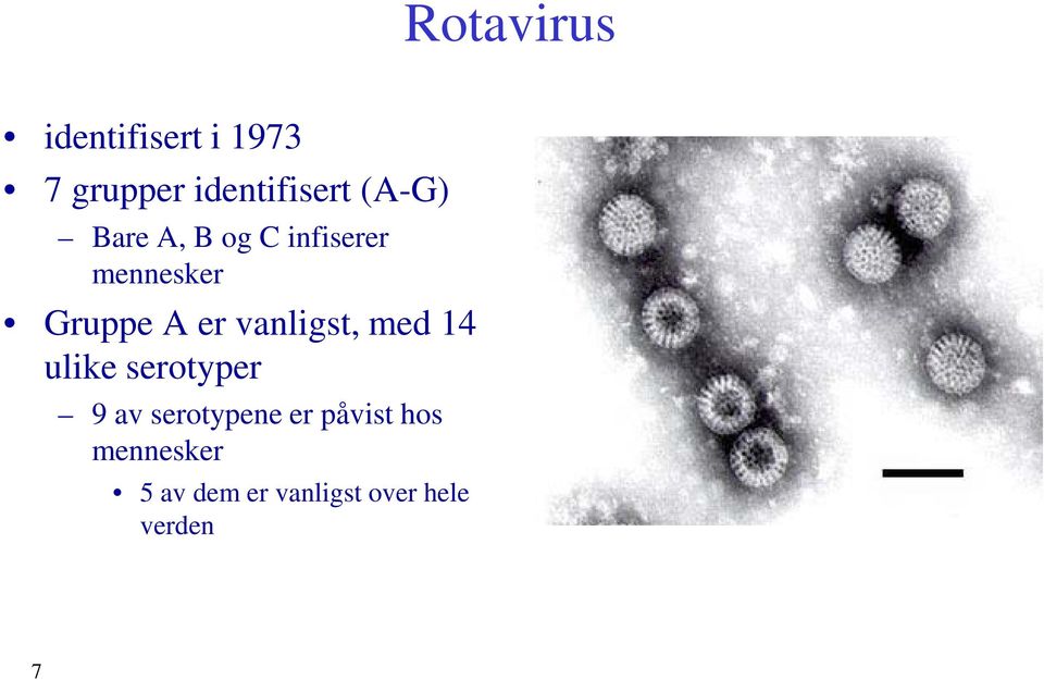 vanligst, med 14 ulike serotyper 9 av serotypene er