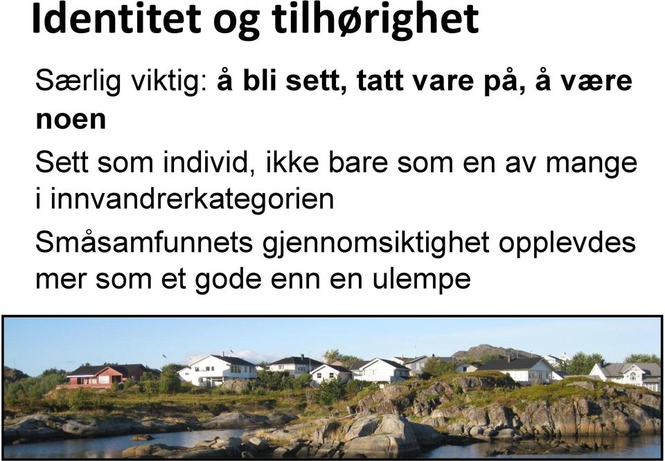 som en av mange i innvandrerkategorien Småsamfunnets