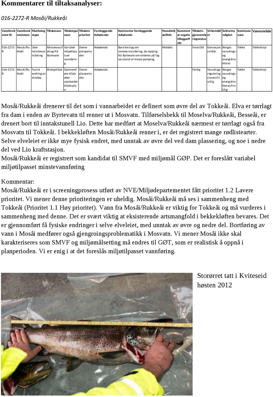 Forebyggende Denne planperio den Denne planperio den Kommentar forebyggende Bare forslag om sommarvassføring, da tapping frå Byrtevatn om vinteren på låg vasstand vil krevje pumping.