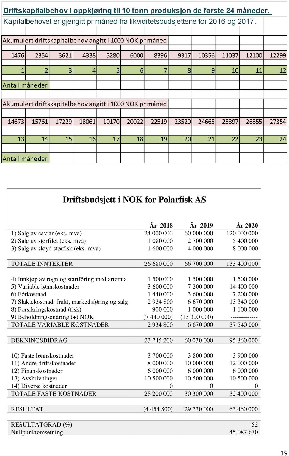 1000 NOK pr måned 14673 15761 17229 18061 19170 20022 22519 23520 24665 25397 26555 27354 13 14 15 16 17 18 19 20 21 22 23 24 Antall måneder Driftsbudsjett i NOK for Polarfisk AS År 2018 År 2019 År