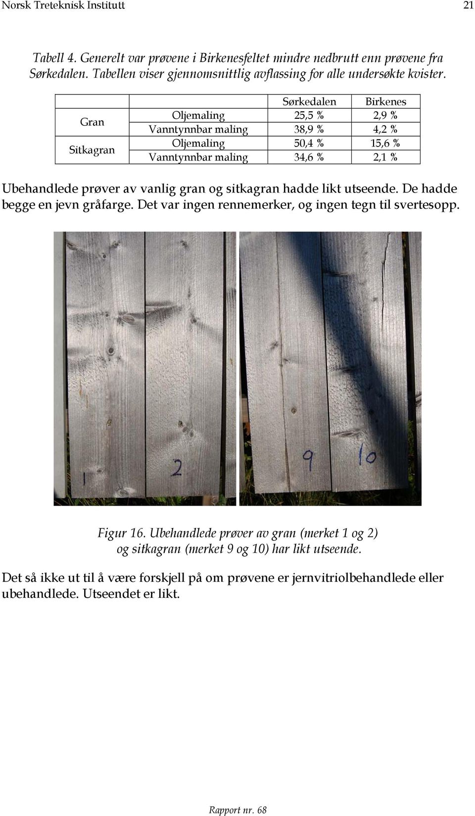 Gran Sitkagran Sørkedalen Birkenes Oljemaling 25,5 % 2,9 % Vanntynnbar maling 38,9 % 4,2 % Oljemaling 50,4 % 15,6 % Vanntynnbar maling 34,6 % 2,1 % Ubehandlede prøver av vanlig