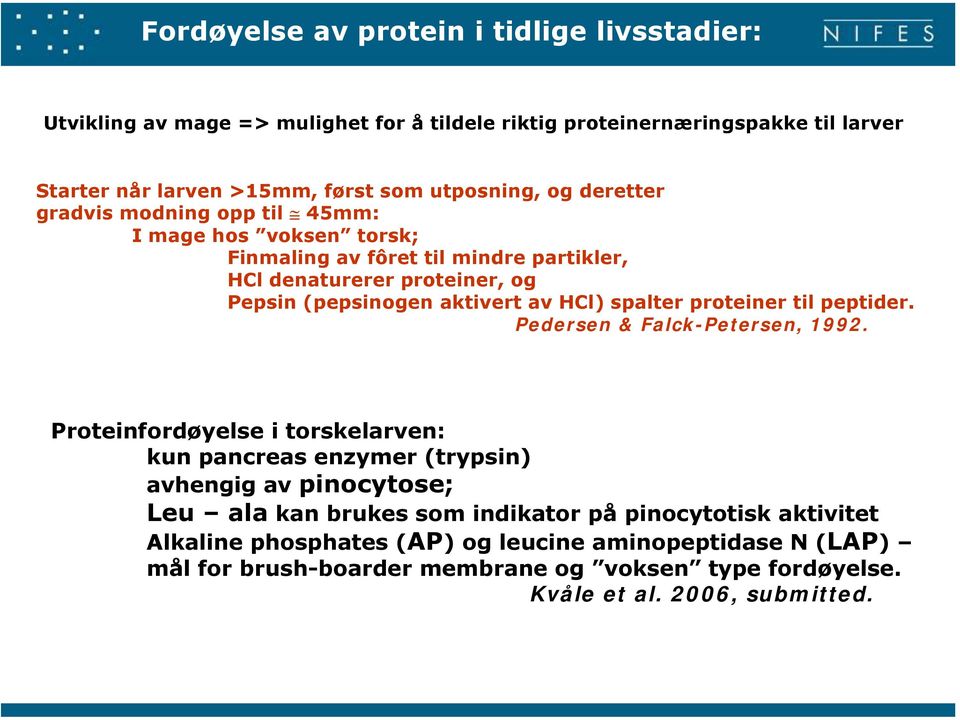 spalter proteiner til peptider. Pedersen & Falck-Petersen, 1992.