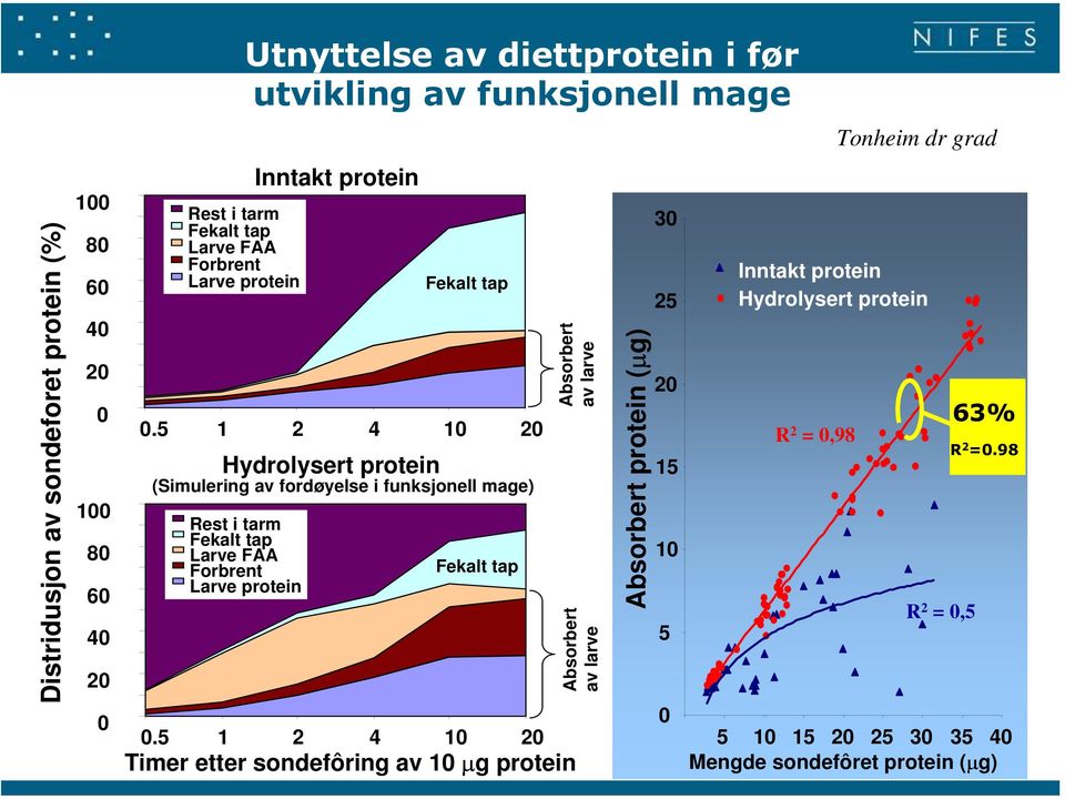 5 1 2 4 1 Hydrolysert protein Rest i tarm Fekalt tap Larve FAA Forbrent Larve protein Fekalt tap (Simulering av fordøyelse i funksjonell mage)