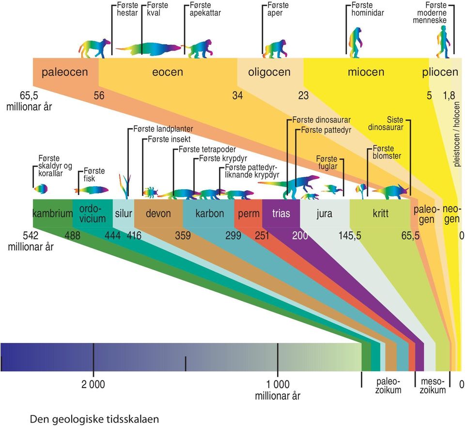 krypdyr Første dinosaurar Første pattedyr Første fuglar Siste dinosaurar Første blomster pleistocen / holocen kambrium 542 millionar år 488 444 416