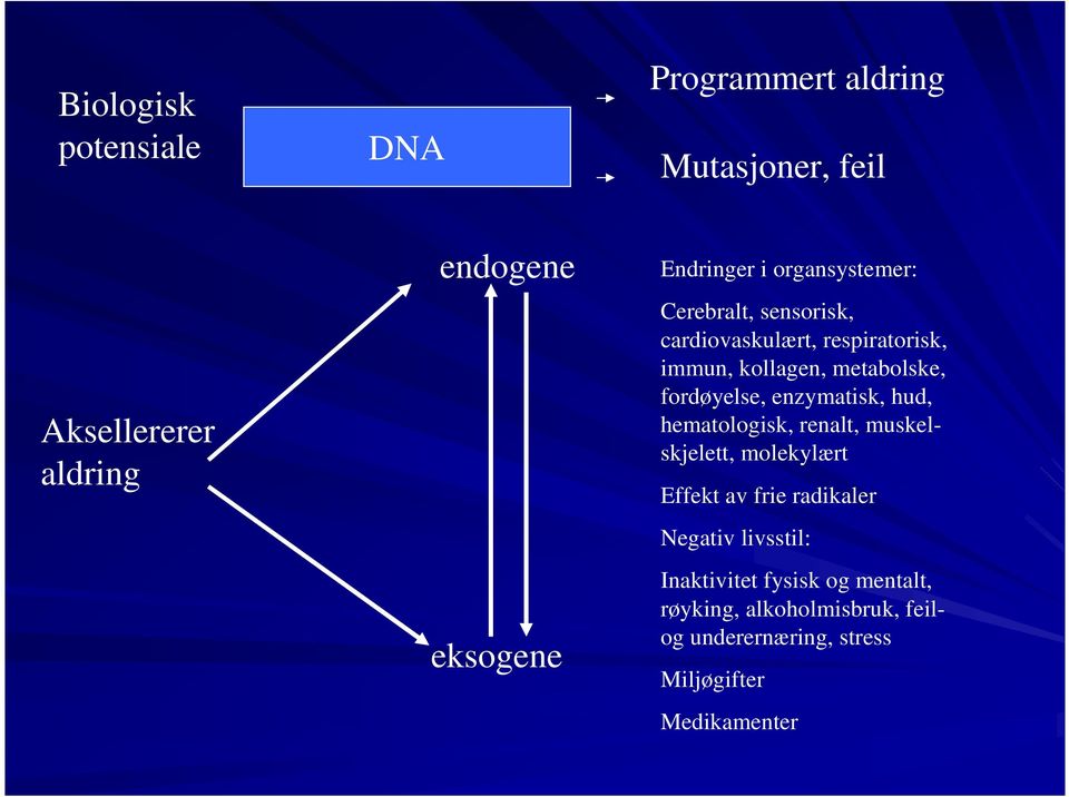 fordøyelse, enzymatisk, hud, hematologisk, renalt, muskelskjelett, molekylært Effekt av frie radikaler Negativ