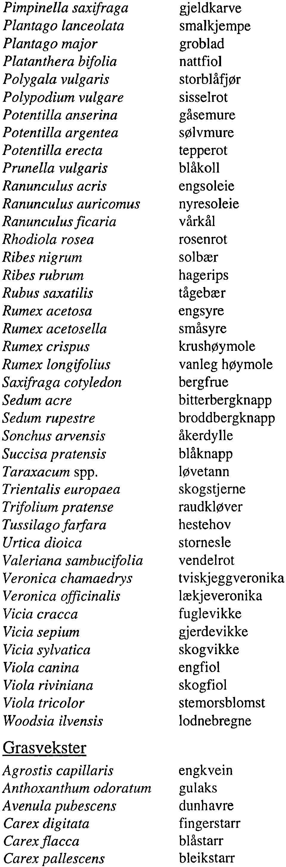 Sedum rupestre Sonchus arvensis Succisa pratensis Taraxacum spp.