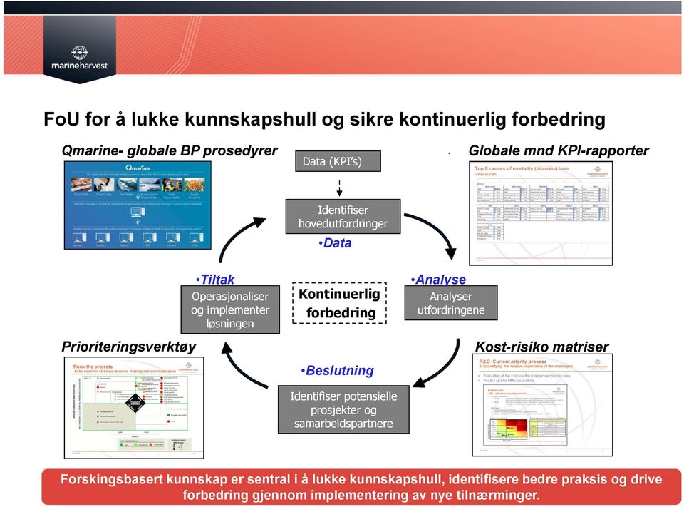 Analyse Analyser utfordringene Kost-risiko matriser Beslutning Identifiser potensielle prosjekter og samarbeidspartnere