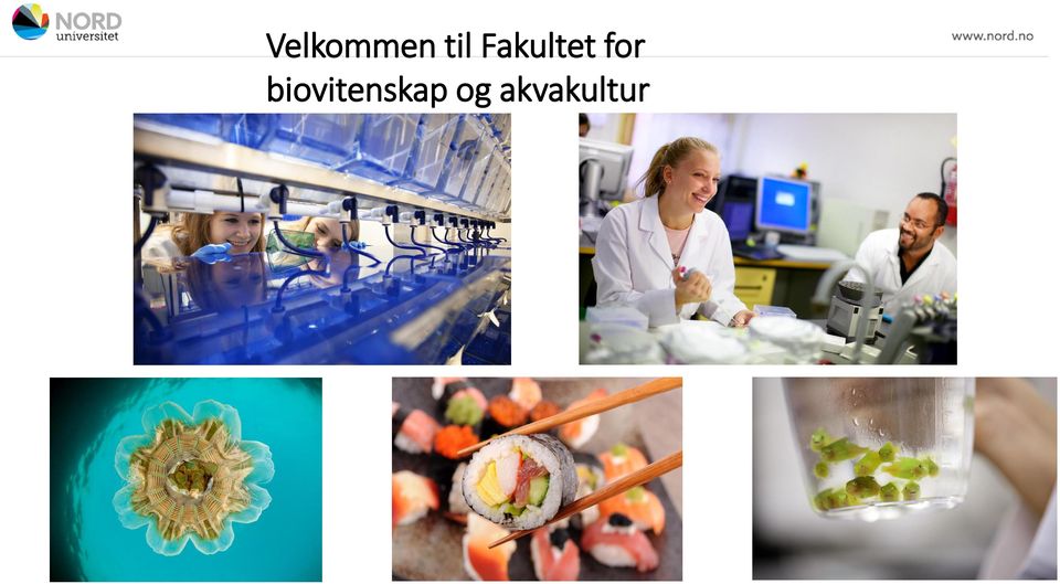 biovitenskap