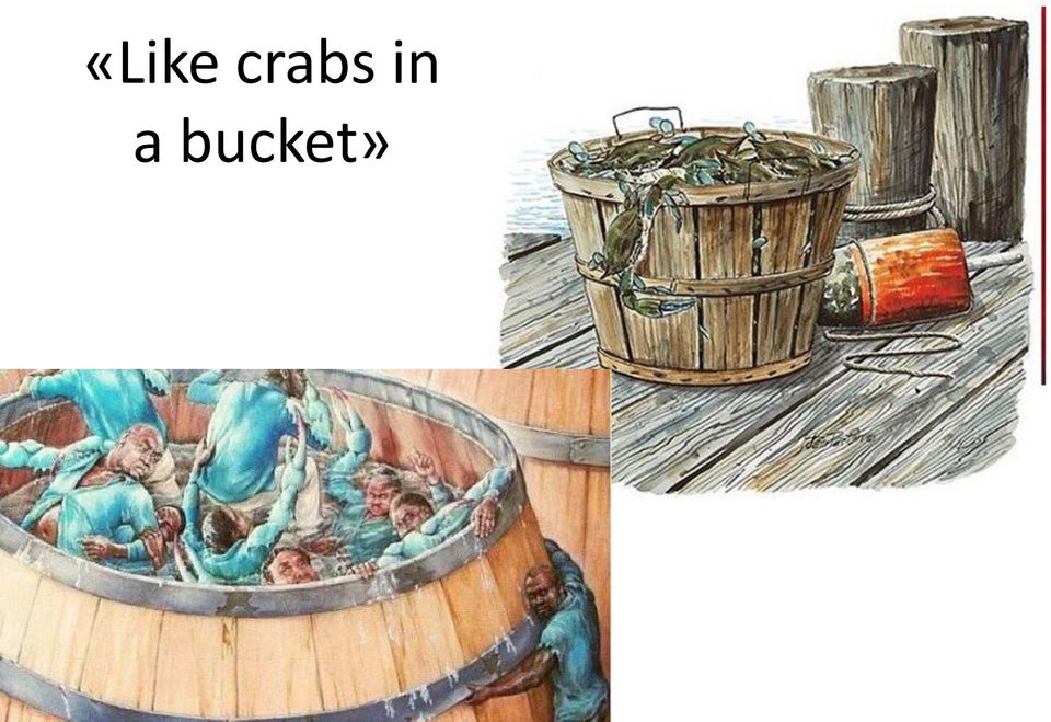 a bucket»