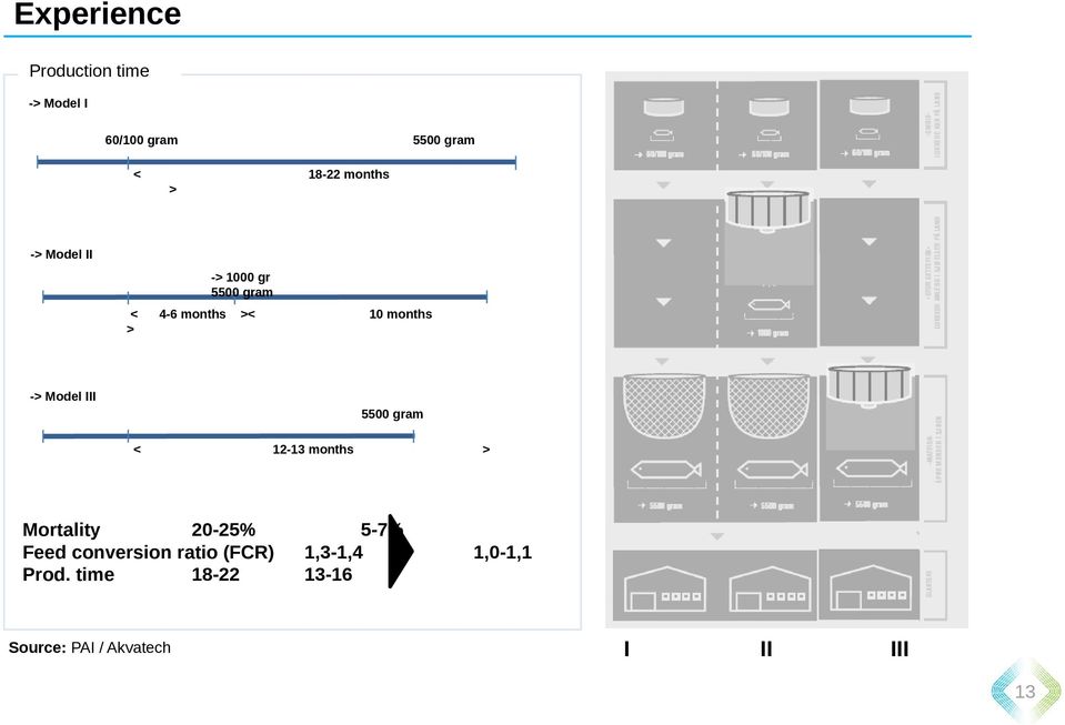 5500 gram < 12-13 months > Mortality 20-25% 5-7% Feed conversion ratio