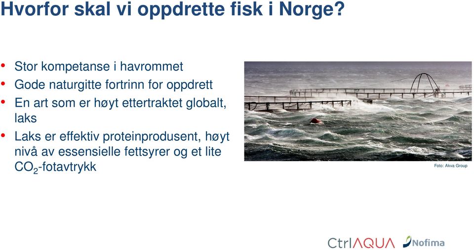 som er høyt ettertraktet globalt, laks Laks er effektiv proteinprodusent,