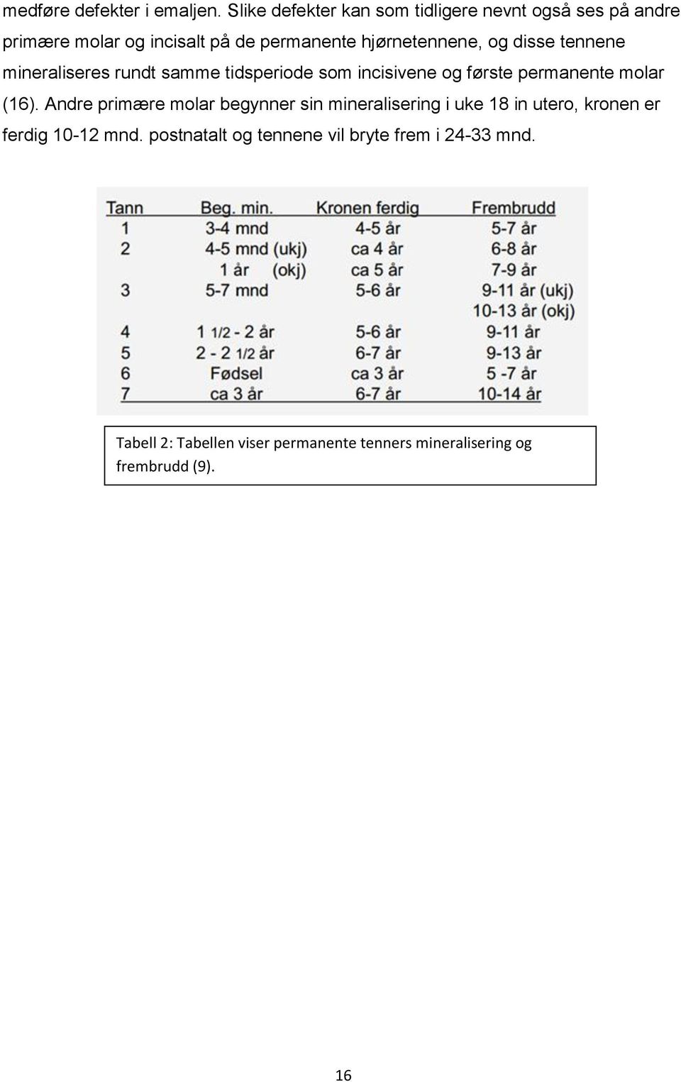 disse tennene mineraliseres rundt samme tidsperiode som incisivene og første permanente molar (16).