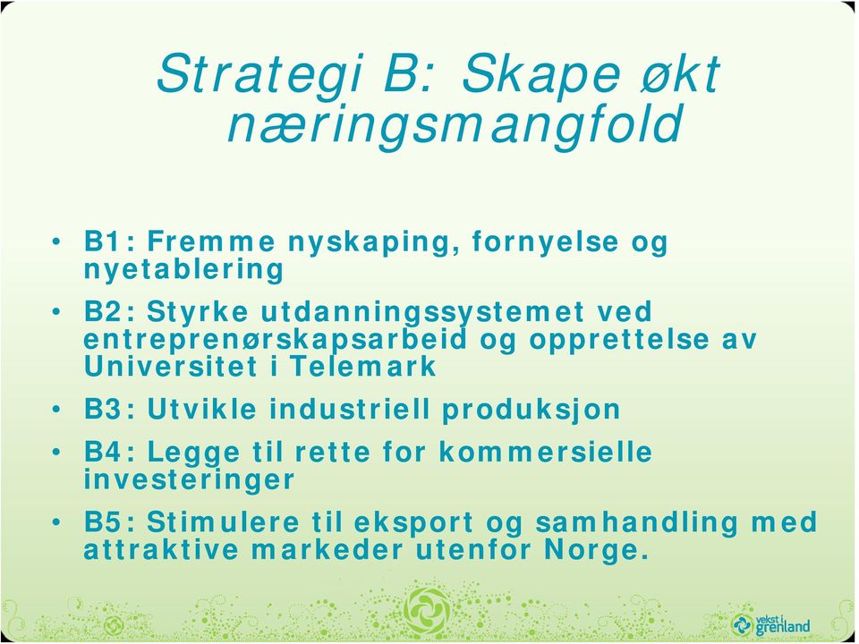 i Telemark B3: Utvikle industriell produksjon B4: Legge til rette for kommersielle