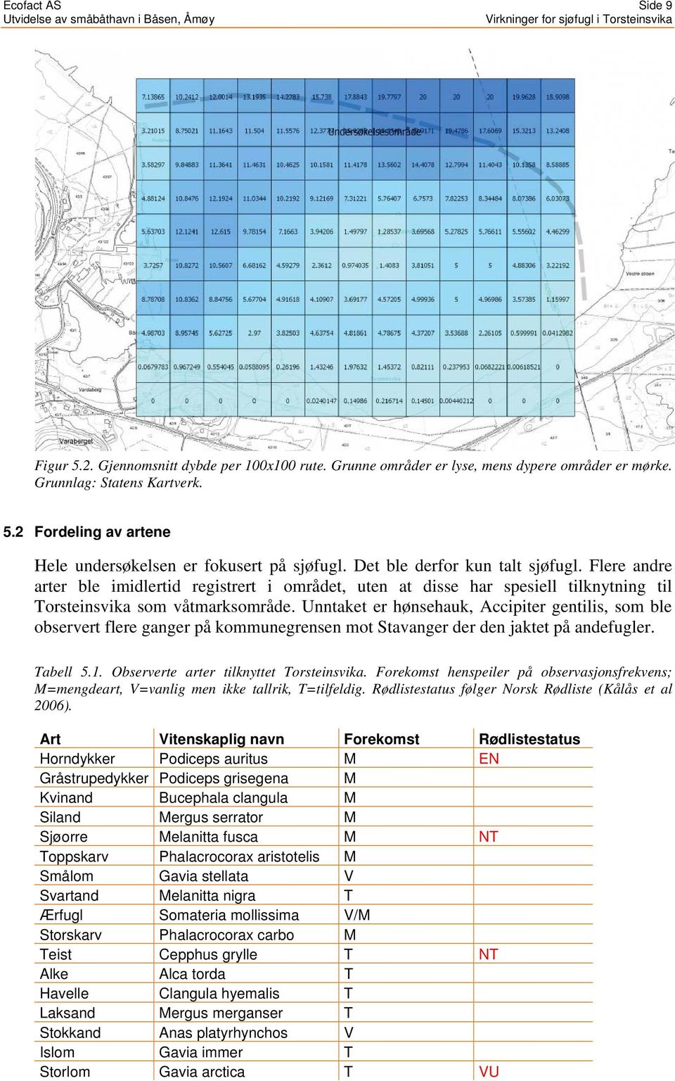 Unntaket er hønsehauk, Accipiter gentilis, som ble observert flere ganger på kommunegrensen mot Stavanger der den jaktet på andefugler. Tabell 5.1. Observerte arter tilknyttet Torsteinsvika.